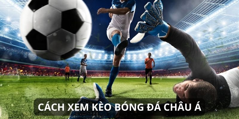 8XBET hỗ trợ kèo châu Á tiện lợi mọi lúc